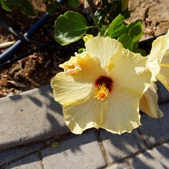 2015-09-09 07-49-34 Hotel